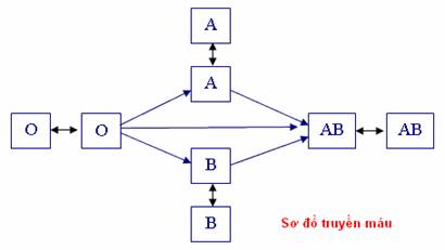 Káº¿t quáº£ hÃ¬nh áº£nh cho SÆ  Dá» TRUYá»N MÃU