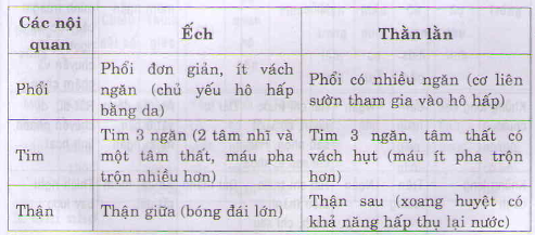 Kết quả hình ảnh cho Lập bảng so sánh bộ xương và cơ quan dinh dưỡng của ếch và thằn lằn