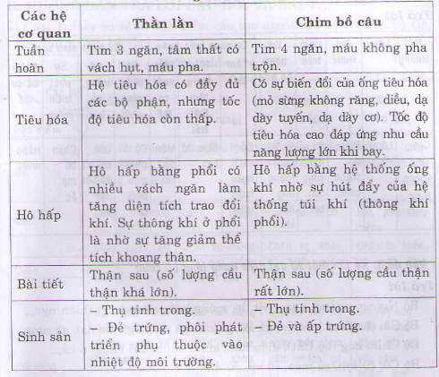 Kết quả hình ảnh cho 1. Lập bảng so sánh các hệ cơ quan: tiêu hóa, tuần hoàn, hô hấp của ếch, bò sát,chim và thú.