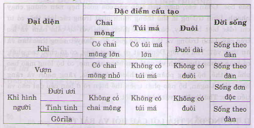 Kết quả hình ảnh cho So sánh đặc điểm cấu tạo và tập tính của khỉ hình người với khỉ và vượn