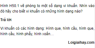 Káº¿t quáº£ hÃ¬nh áº£nh cho http://loigiaihay.com/nhin-vao-do-hay-cho-biet-vi-khuan-co-nhung-hinh-dang-nao-trang-160-c65a32876.html