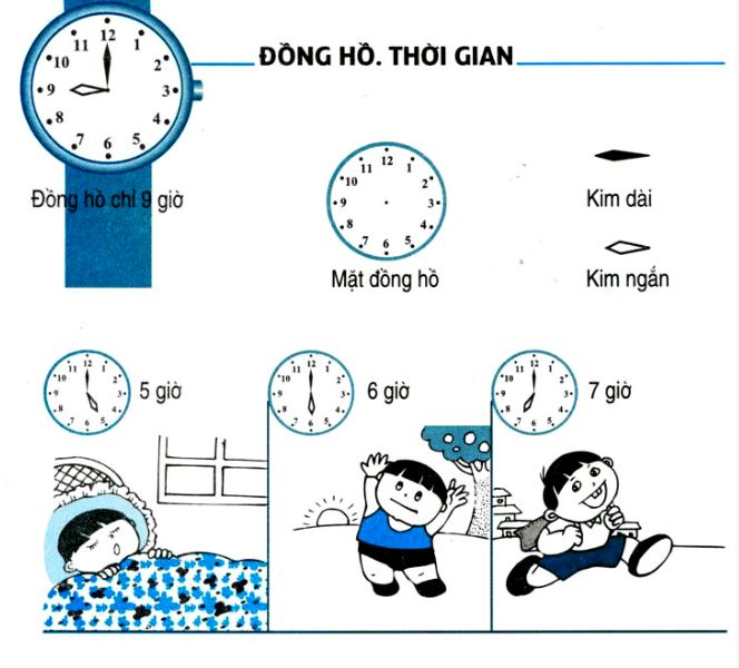 Mặt kính đồng hồ – Dụng cụ thí nghiệm Nguyên Việt Triều