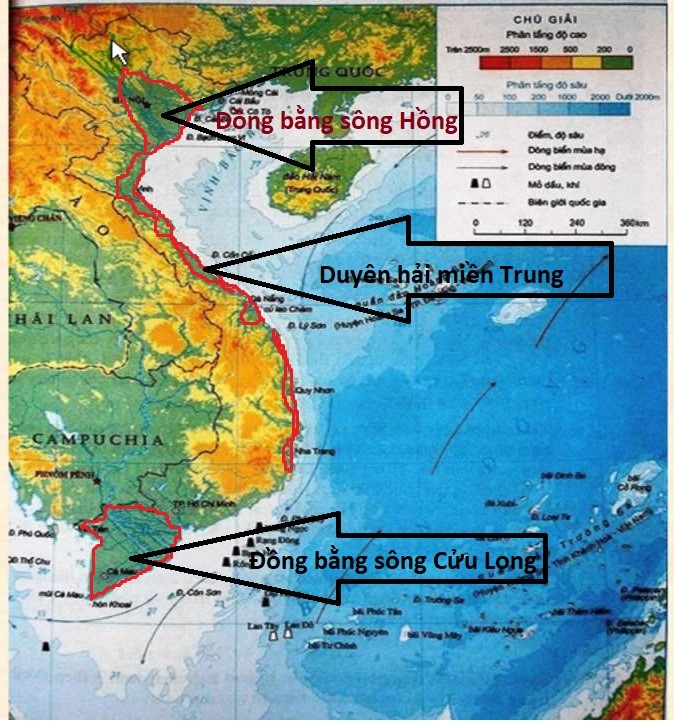 Hãy xác định trên bản đồ Địa lí tự nhiên Việt Nam (hoặc Atlat Địa ií Việt Nam) hai đồng bằng lớn của nước ta và các đồng bằng nhỏ hẹp ở