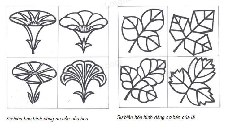 Xem hơn 100 ảnh về hình vẽ tạo họa tiết trang trí - daotaonec