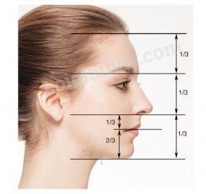 Soạn mĩ thuật lớp 8 Bài 13: Giới thiệu tỉ lệ khuôn mặt người | Âm ...