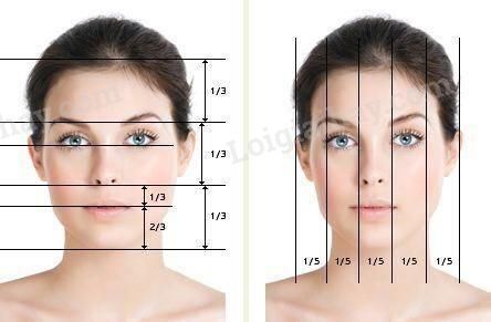 Với tỉ lệ khuôn mặt người đẹp, hãy xem hình ảnh để khám phá những bí mật về sự hoàn hảo của khuôn mặt con người.
