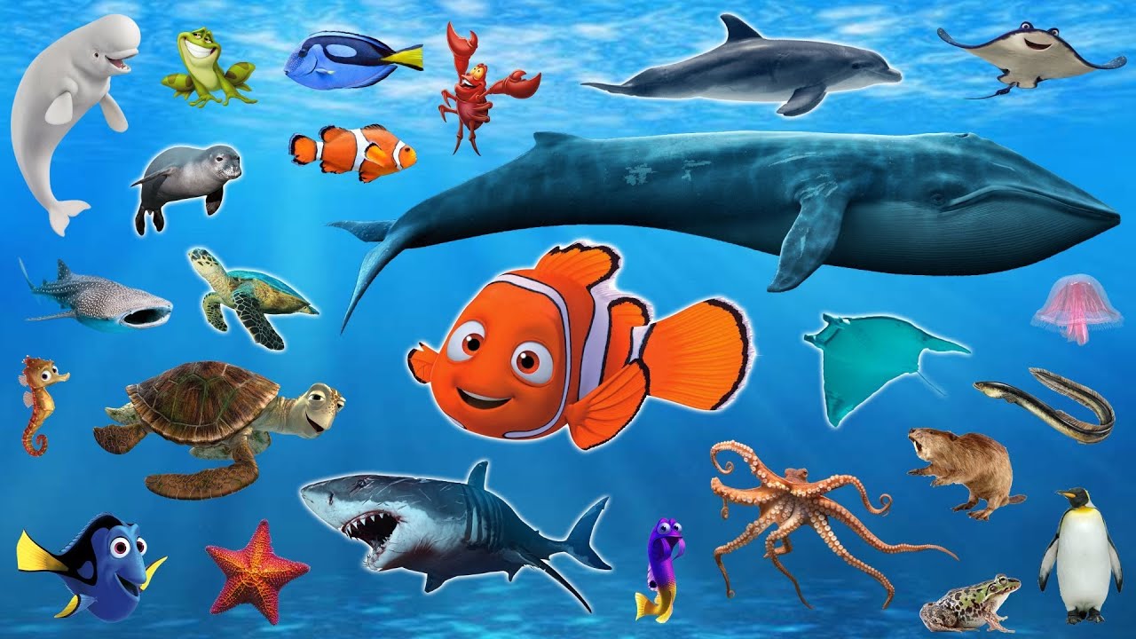 25 loài sinh vật đáng sợ nhất ẩn náu dưới biển sâu P2