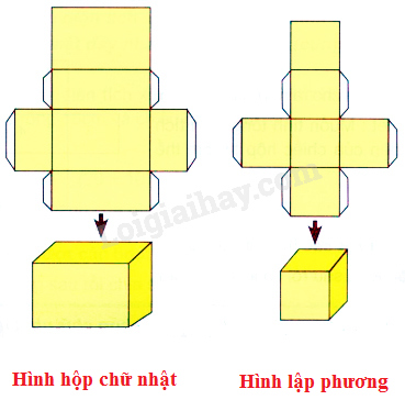 Định nghĩa hình hộp đứng hình hộp chữ nhật hình lập phương