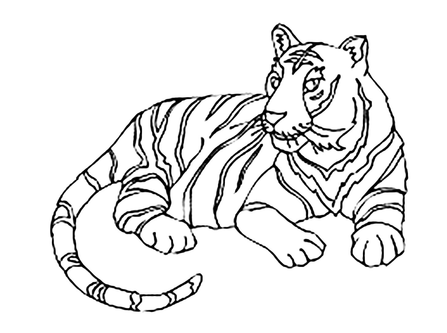Sưu tập Ảnh con hổ dễ vẽ cho người mới bắt đầu