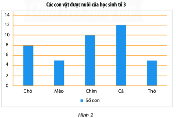 Hoạt động khám phá đem lại cho bạn cơ hội để học hỏi và khám phá điều mới mẻ. Hãy xem hình ảnh liên quan đến hoạt động khám phá và hòa mình vào những trải nghiệm thú vị.