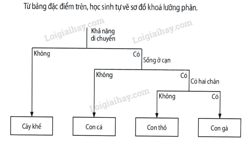 Bài tập KHTN 6: \