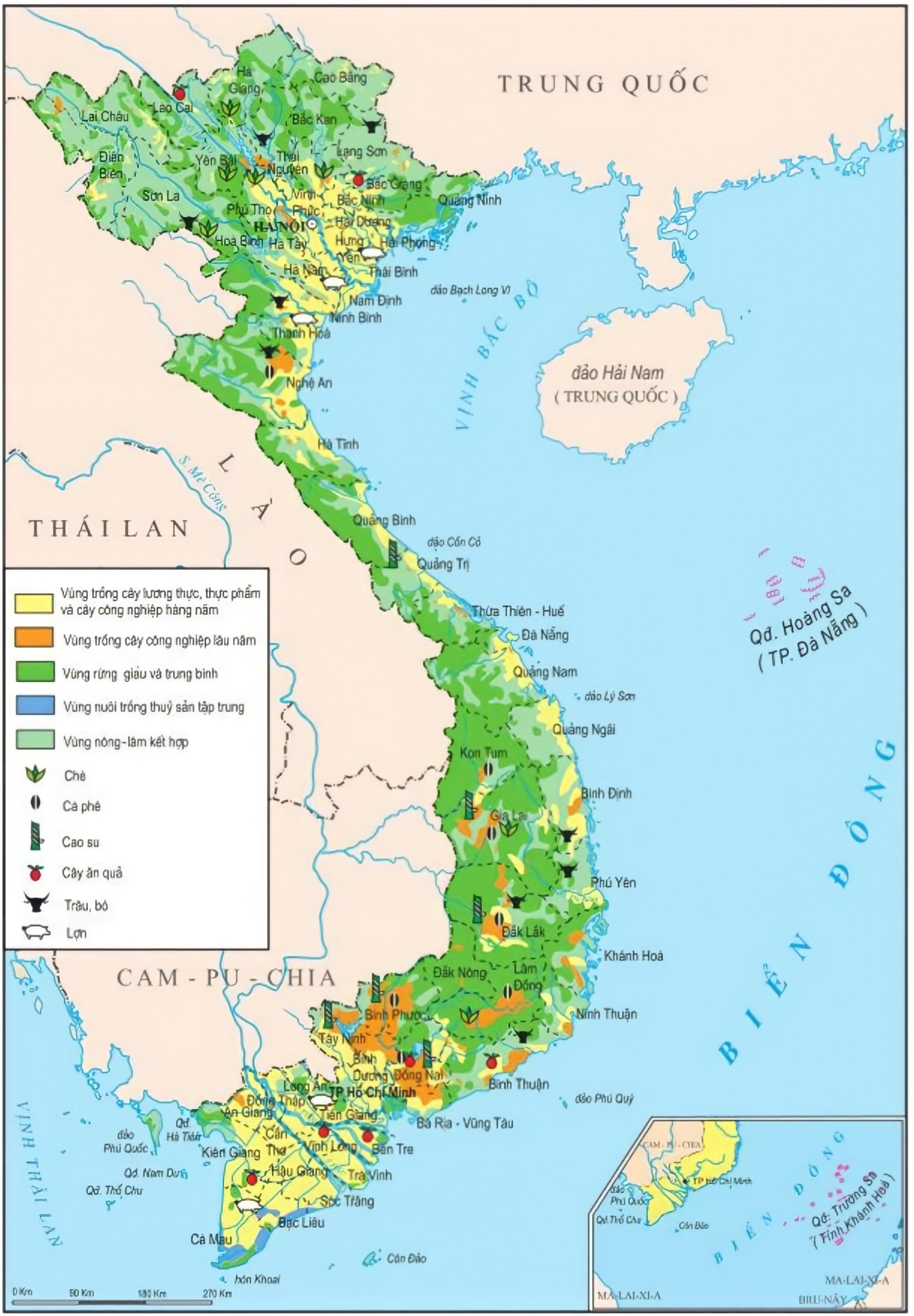 Bản đồ địa lý Việt Nam sẽ giúp bạn khám phá và tìm hiểu tất cả những gì đất nước Việt Nam có để cung cấp. Từ những rừng núi hoang sơ, những bãi biển tuyệt đẹp cho đến những thành phố sôi động và các điểm đến du lịch nổi tiếng - bản đồ này sẽ đưa bạn đến mọi nơi mà bạn muốn đến.