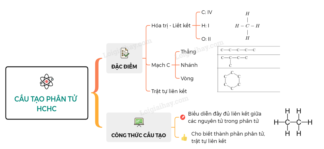 Bộ mô hình phân tử hóa học hữu cơ  Shopee Việt Nam