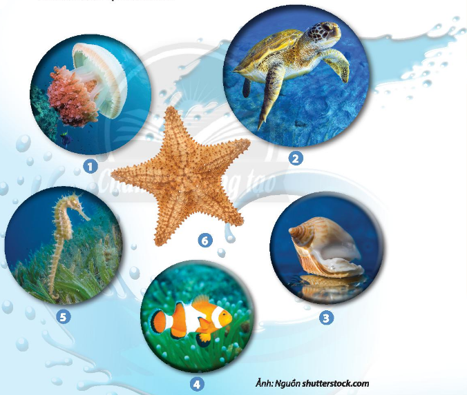 Qua bức tranh của em lớp 2, bạn sẽ được trải nghiệm về sự đa dạng của các loài vật trong đại dương và vẻ đẹp hoang sơ của nhiều vùng biển. Sách giáo khoa của em lớp 2 đã truyền đạt tất cả những điều kỳ diệu này cho các em học sinh. Hãy để tinh thần mở rộng và khám phá thế giới đánh thức bởi bức tranh này.