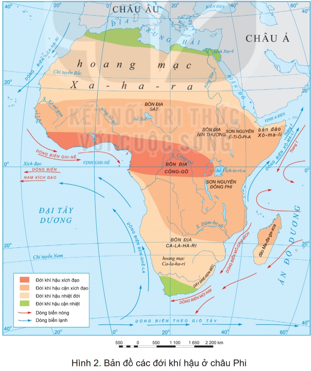 Vị trí địa lí châu Phi trên SGK Lịch sử và Bản đồ Thiên Nhiên Châu Phi: Với vị trí địa lý đặc biệt của mình, Châu Phi đã trải qua vô số cuộc biến động lịch sử và địa chất. Trên SGK Lịch sử và Bản đồ Thiên Nhiên Châu Phi, bạn sẽ tìm thấy những thông tin bổ ích và thú vị về đất nước, dân cư và văn hóa của Châu Phi. Qua đó, bạn sẽ hiểu rõ hơn về sự đóng góp của Châu Phi cho màn sóng lịch sử và địa chất của thế giới.