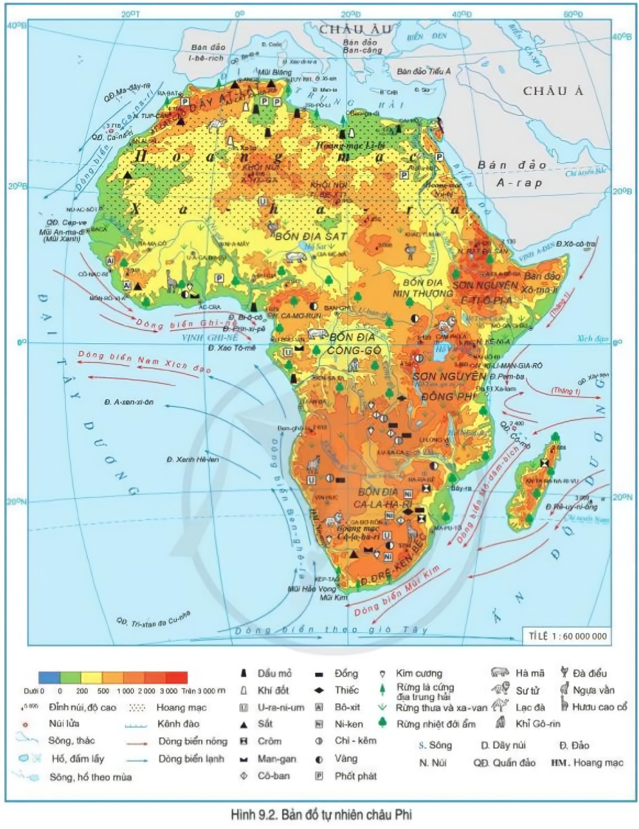 Bài 9. Vị trí địa lí, phạm vi và đặc điểm tự nhiên châu Phi SGK Địa lí 7 Cánh Diều | SGK Lịch sử và Địa lí lớp 7 - Cánh Diều