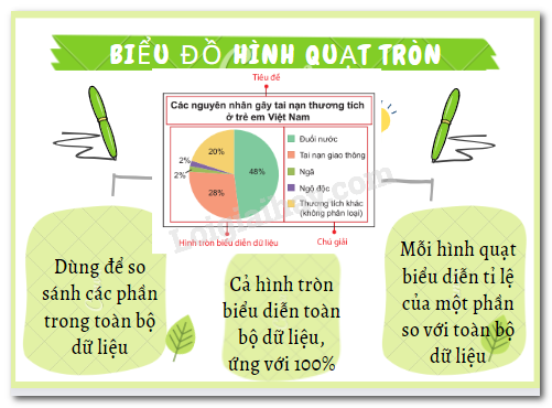 Cách vẽ biểu đồ hình quạt tròn lớp 7 - Hướng dẫn chi tiết và dễ hiểu