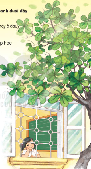Lớp học SGK Tiếng Việt lớp 1, cây bàng sẽ đưa bạn trở lại tuổi thơ đầy ngọt ngào và hồn nhiên. Hãy xem hình ảnh để cảm nhận lại cảm giác những ngày xưa.
