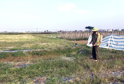 Thuốc trừ cỏ - Hiểm họa khôn lường - Hội Nông Dân tỉnh Ninh Bình