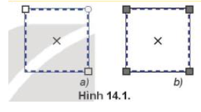Quan sát hai hình chữ nhật ở Hình 14.1 và tìm ra điểm khác nhau giữa hai hình