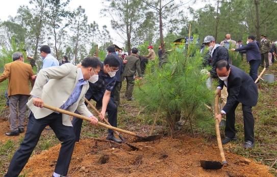 Trồng cây gây rừng: Bộ TN-MT sẽ tôn vinh các sáng kiến, cách làm hay | Môi  trường | Vietnam+ (VietnamPlus)