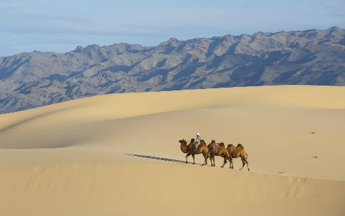 Chính xác, Gobi là sa mạc lớn nhất châu Á - VnExpress
