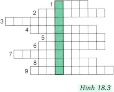 Trả Lời Câu Hỏi Trang 64 Và Trò Chơi Ô Chữ Trang 66 Sgk Vật Lí 8 | Sgk Vật  Lí Lớp 8