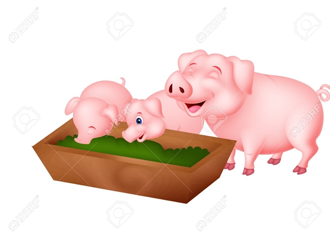 Loài lợn tham ăn - Báo Công an Nhân dân điện tử