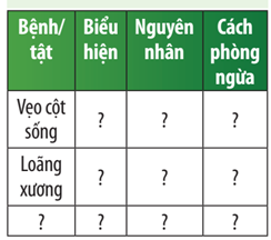 Trình bày các thông tin về bệnh/tật liên quan đến hệ vận động bằng cách hoàn thành bảng