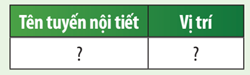 Quan sát Hình 42.1 và Bảng 42.1, hãy hoàn thành bảng sau: