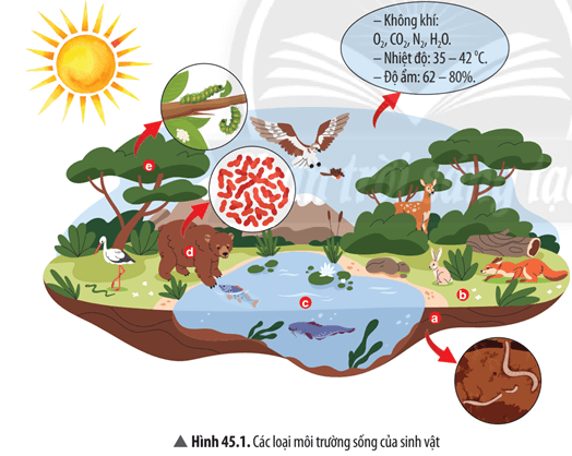 Quan sát Hình 45.1, hãy: Kể tên các yếu tố tự nhiên có ở nơi sinh sống