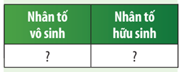 Hãy phân loại các nhân tố mà em đã liệt kê ở Câu 1