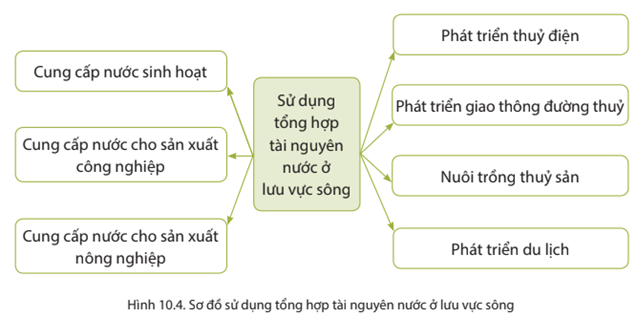 Dựa vào hình 10.4 và thông tin trong bài em hãy lấy ví dụ chứng minh tầm quan trọng