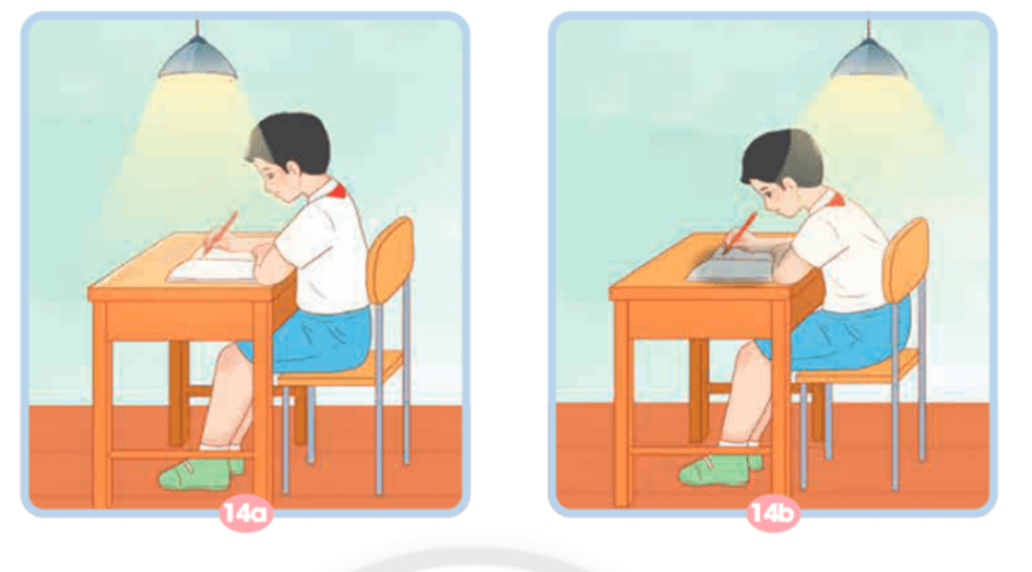 Khoa học lớp 4 trang 42 Chân trời sáng tạo