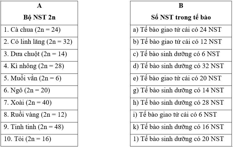 Cho biết bộ NST 2n ở một số loài (cột A) và các thông tin về số lượng NST trong các tế bào