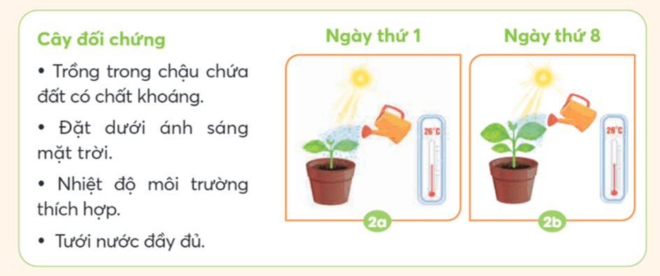 Khoa học lớp 4 trang 58 Chân trời sáng tạo