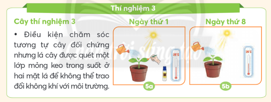 Khoa học lớp 4 trang 58 Chân trời sáng tạo