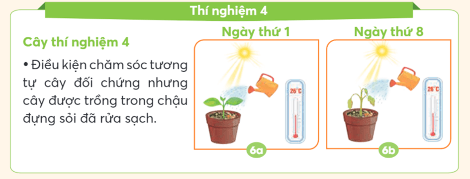 Khoa học lớp 4 trang 58 Chân trời sáng tạo