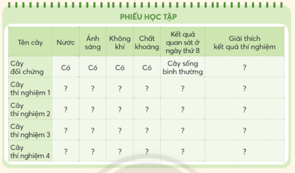 Khoa học lớp 4 trang 58 Chân trời sáng tạo