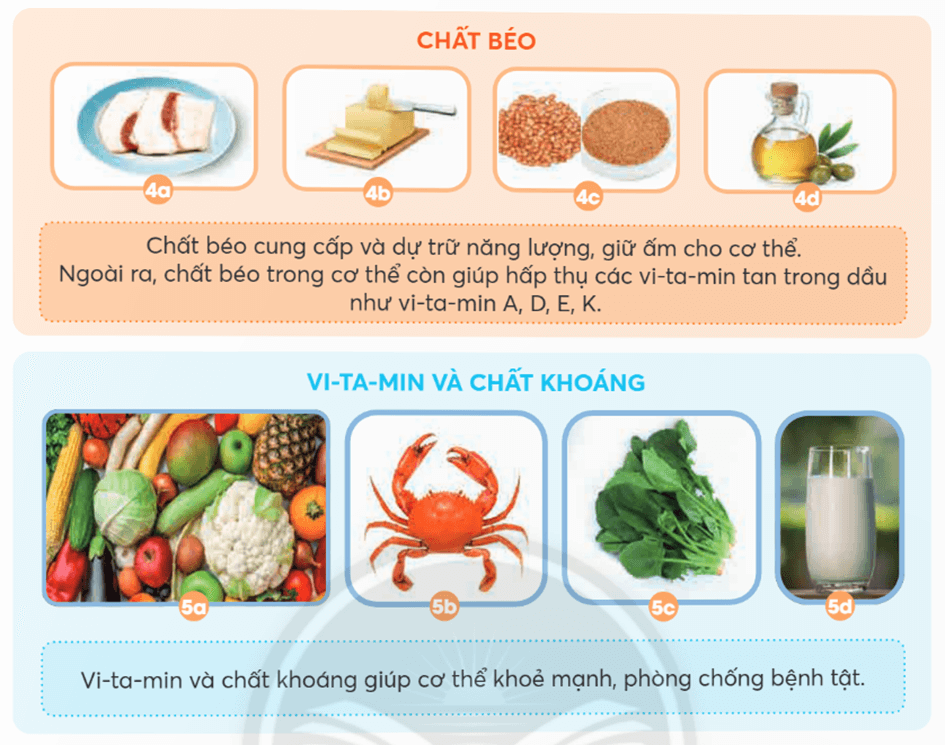 Khoa học lớp 4 Chân trời sáng tạo Bài 23: Các nhóm chất dinh dưỡng có trong thức ăn