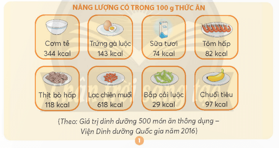 Khoa học lớp 4 trang 91 Chân trời sáng tạo