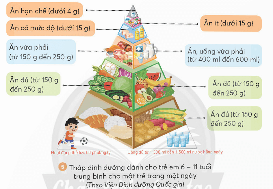 Khoa học lớp 4 Chân trời sáng tạo Bài 25: Ăn uống khoa học để cơ thể khỏe mạnh