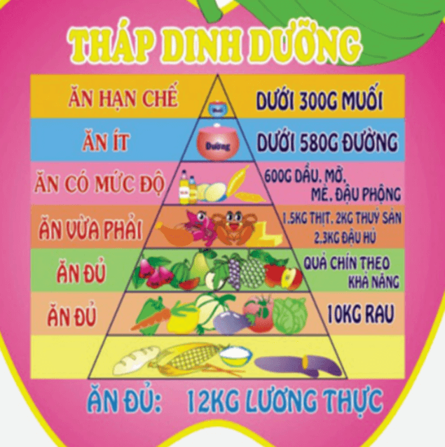 Khoa học lớp 4 trang 98 Chân trời sáng tạo