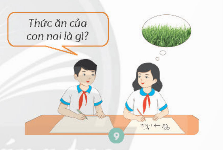 Khoa học lớp 4 trang 114 Chân trời sáng tạo