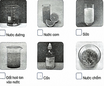 Vở bài tập Khoa học lớp 5 Kết nối tri thức Bài 3: Hỗn hợp và dung dịch