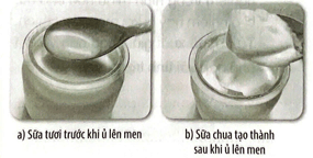 vở bài tập khoa học lớp 5 kết nối tri thức bài 5: sự biến đổi hoá học của chất