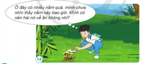 Em sẽ làm gì trong tình huống dưới đây.