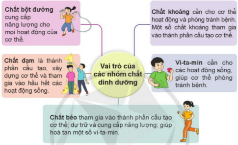 Nêu vai trò của các nhóm chất dinh dưỡng đối với cơ thể. 