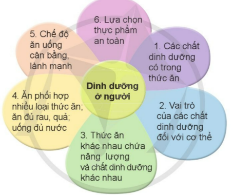 Bắt thăm để chia sẻ về nội dung của một trong những cánh hoa dưới đây.