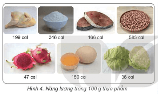 Khoa học lớp 4 Kết nối tri thức Bài 23: Vai trò của chất dinh dưỡng với cơ thể